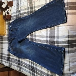 Never Worn Plus Size 16W slim Boot Judy Blue